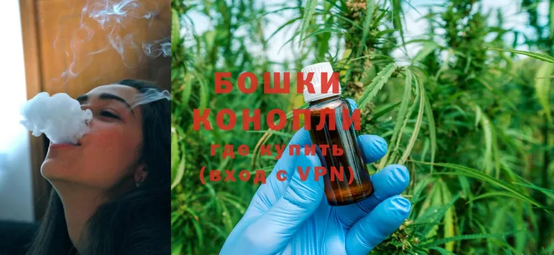 Бошки марихуана SATIVA & INDICA  где можно купить наркотик  Краснослободск 